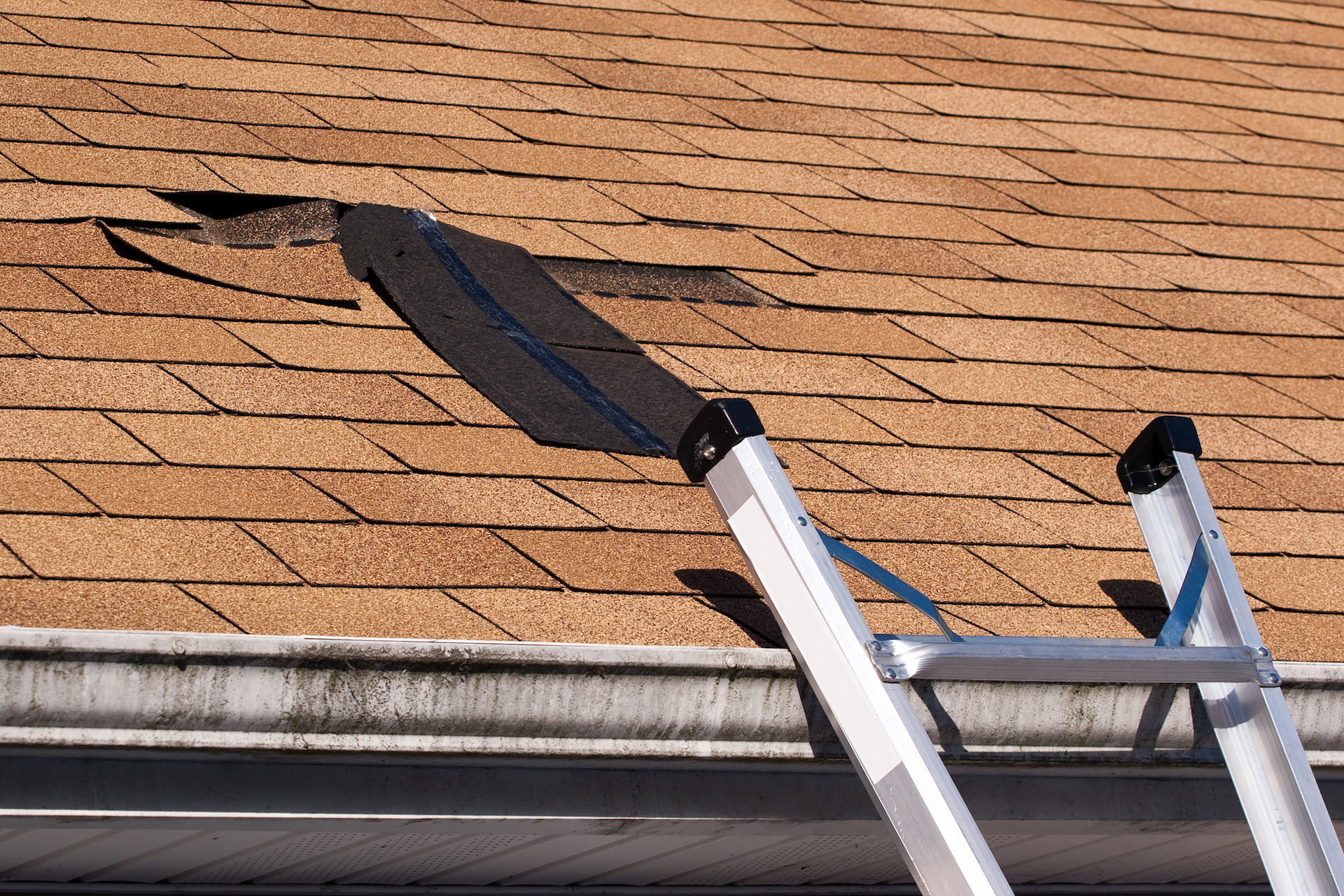 A damaged roof with missing shingles and a ladder propped against the gutter, indicating roof repair work in progress. - RoofZen, Chester County PA Roofing, Siding and More