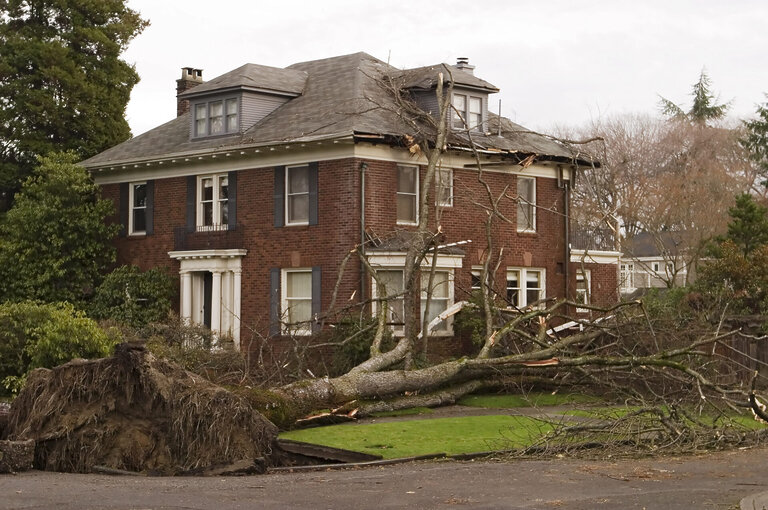 A large tree has fallen onto the roof of a two-story brick house, causing visible damage. The tree is uprooted, and branches cover the lawn and part of the street. The sky is overcast. - RoofZen, Chester County PA Roofing, Siding and More
